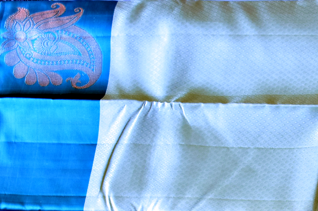 Pure Kancheepuram Sare with Contrast Border - ST5