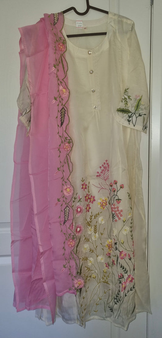 Organza Salwar Set - CFL2516