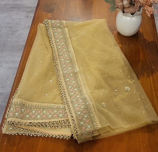 Light Yellow Dupatta with Stones & Embroidery - DJM2