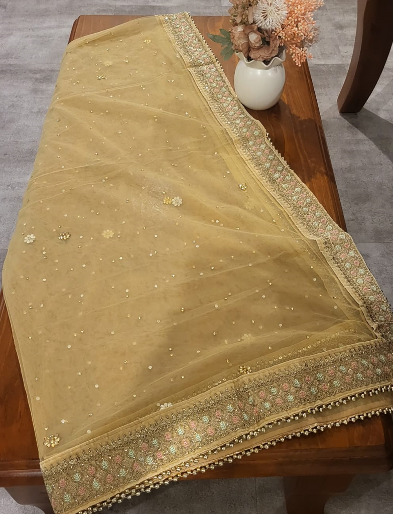 Light Yellow Dupatta with Stones & Embroidery - DJM2