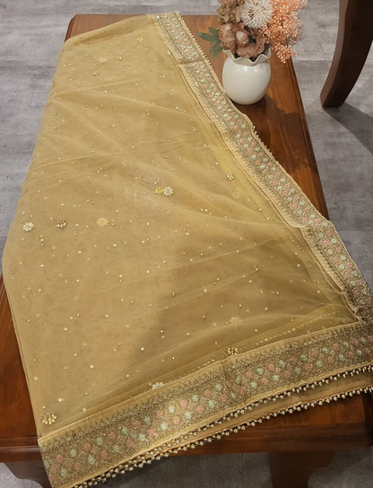 Light Yellow Dupatta with Stones & Embroidery - DJM2
