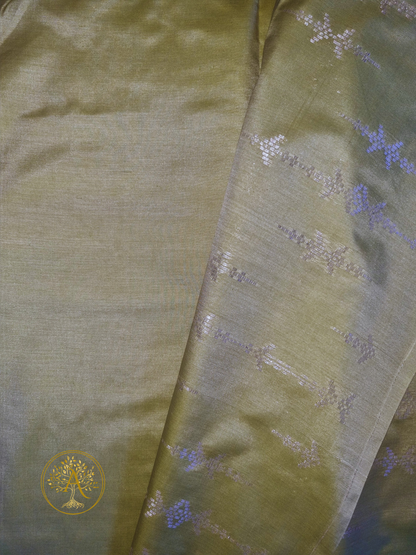 Designer Saree - SASH2510