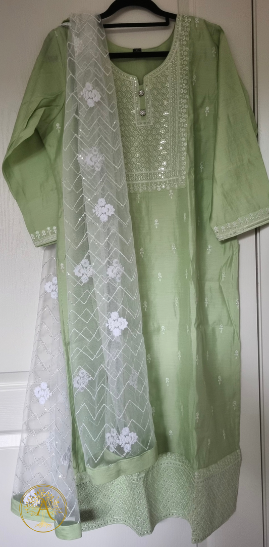 Sage Green 3pc Salwar Set - CSB2536