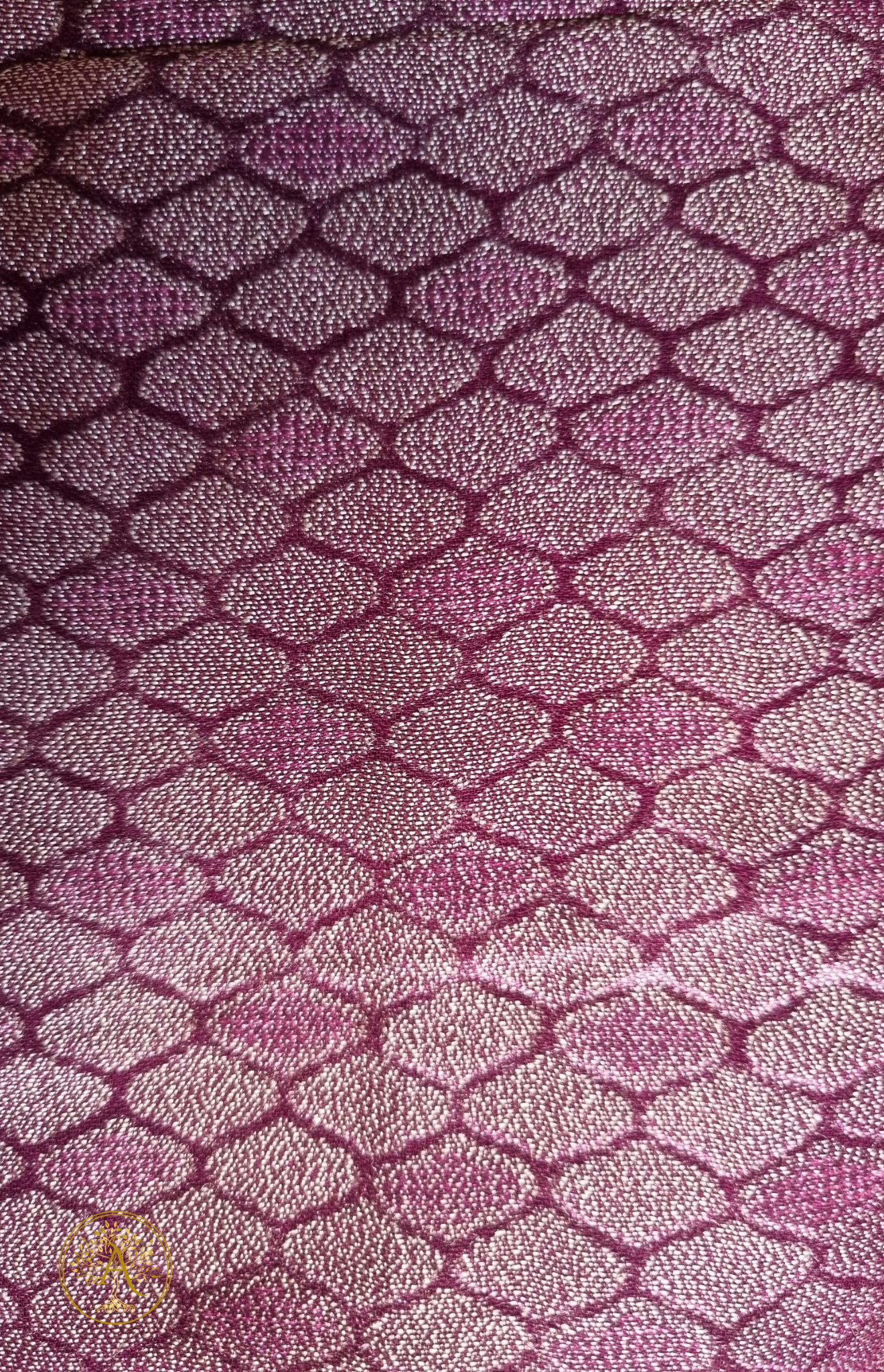 Brasso Saree - SAGS2507