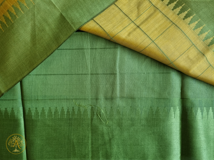 Cotton Saree - SAGS2562