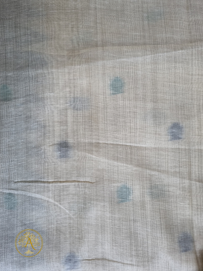 Cotton Saree - SAGS2545