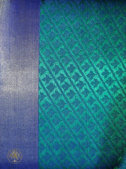 Designer Saree - SAGS2533