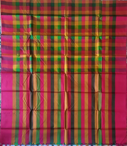 Pure Kancheepuram Multicolored Borderless Saree - SK11